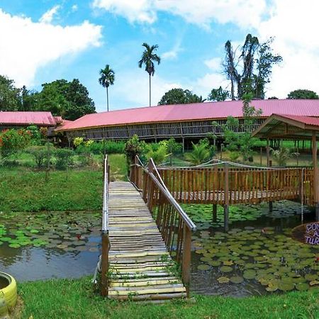 Sabah Tea Garden-Longhouses Ranau Extérieur photo