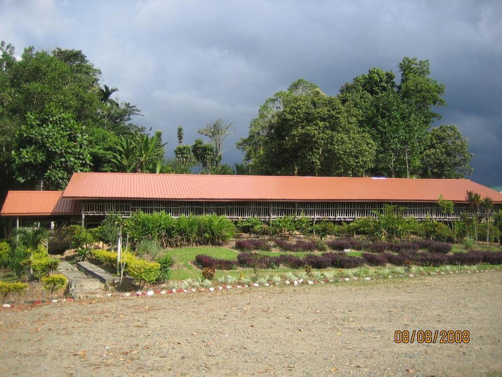 Sabah Tea Garden-Longhouses Ranau Extérieur photo