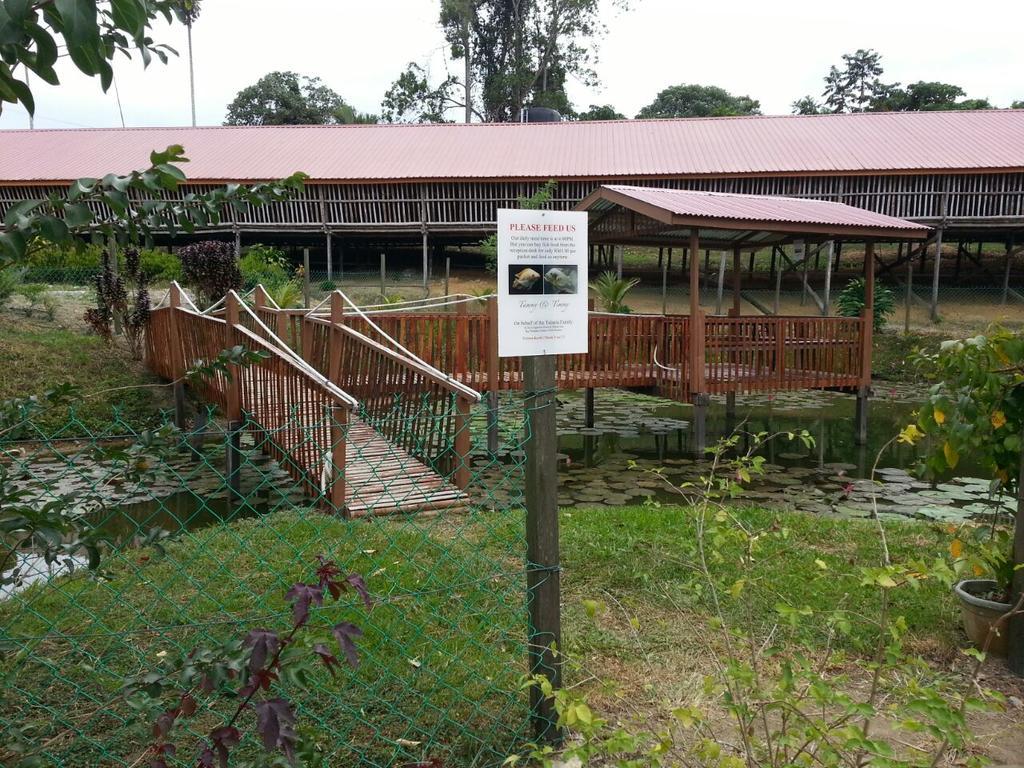 Sabah Tea Garden-Longhouses Ranau Extérieur photo
