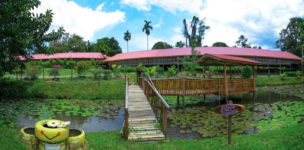 Sabah Tea Garden-Longhouses Ranau Extérieur photo