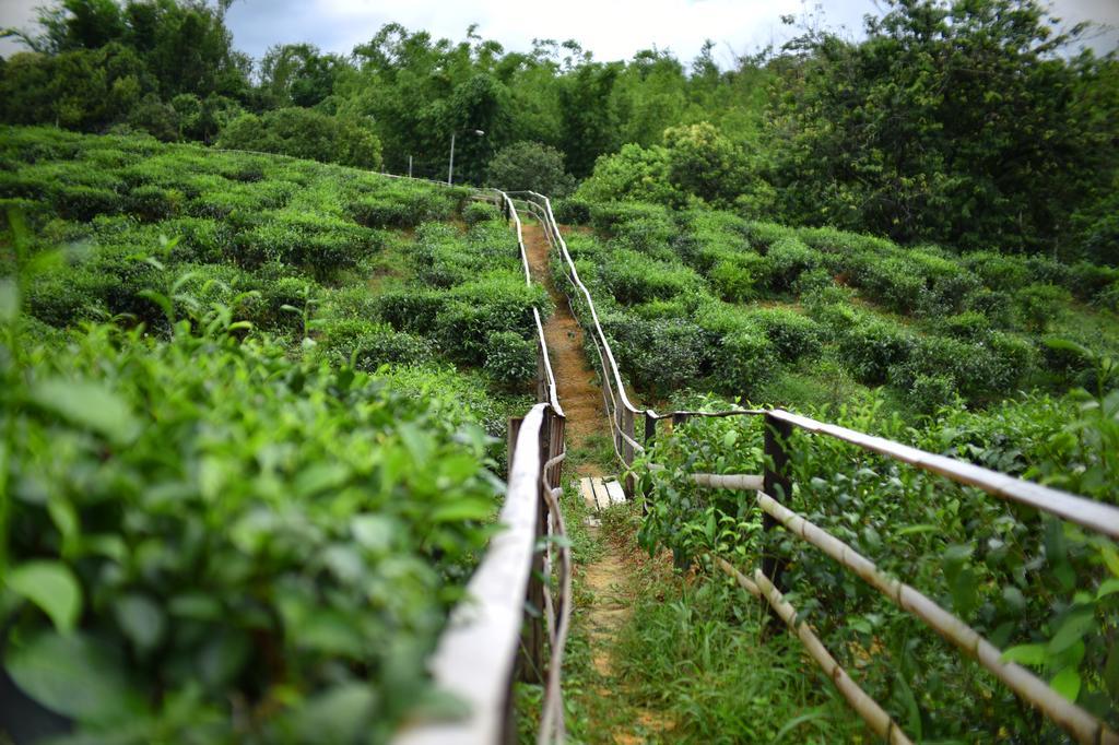 Sabah Tea Garden-Longhouses Ranau Extérieur photo