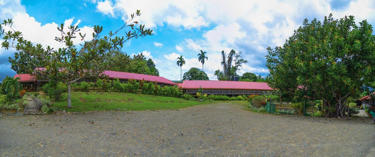 Sabah Tea Garden-Longhouses Ranau Extérieur photo