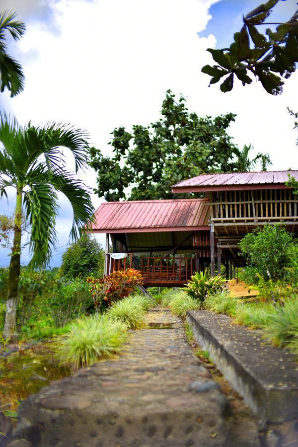 Sabah Tea Garden-Longhouses Ranau Extérieur photo